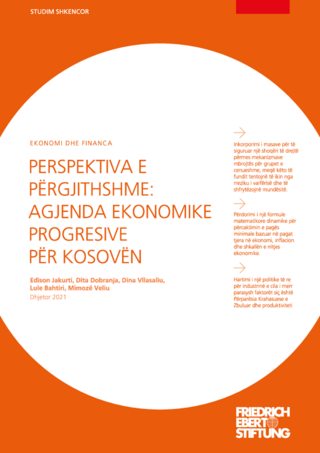 Perspektiva e përgjithshme