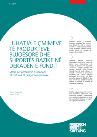 Luhatja e çmimeve të produkteve bujqësore dhe shportës bazike në dekadën e fundit