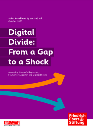 Digital divide: from a gap to a shock